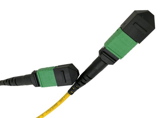 12-rdzeniowy kabel krosowy APC SM 20m MTP MPO 9/125 jednomodowy LSZH żeński na żeński